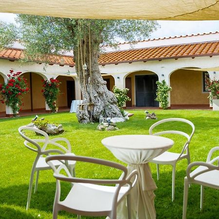 Tenuta Amalthea Villa Sessa Aurunca Eksteriør billede