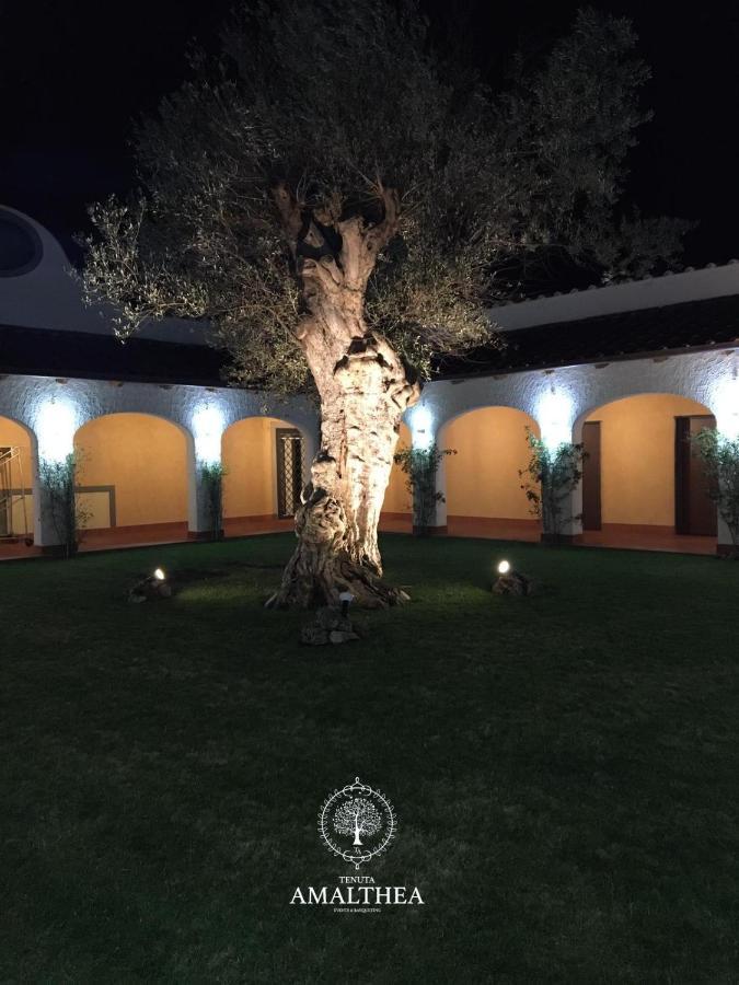 Tenuta Amalthea Villa Sessa Aurunca Eksteriør billede