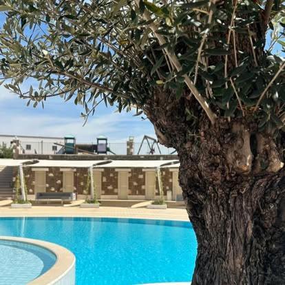 Tenuta Amalthea Villa Sessa Aurunca Eksteriør billede